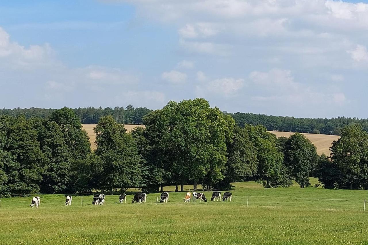 Stilvolle Ferienwohnung Im Eichsfeld Niederorschel Eksteriør bilde