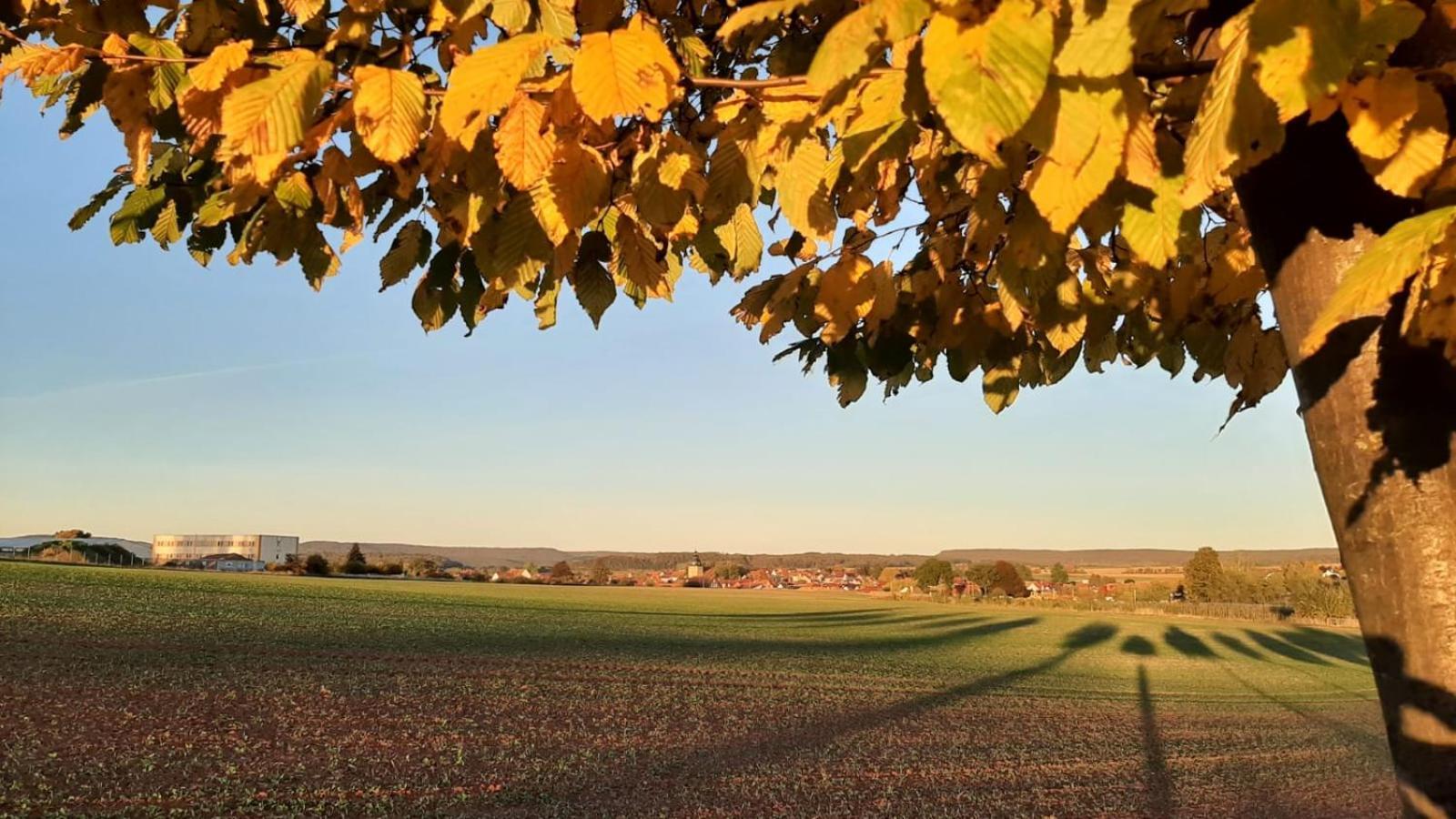Stilvolle Ferienwohnung Im Eichsfeld Niederorschel Eksteriør bilde